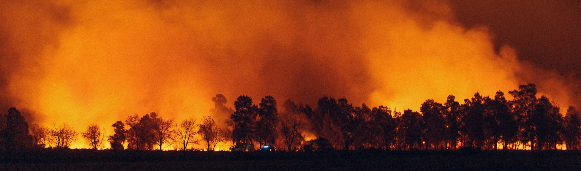 Europe records highest wildfire carbon emissions on record in 2025